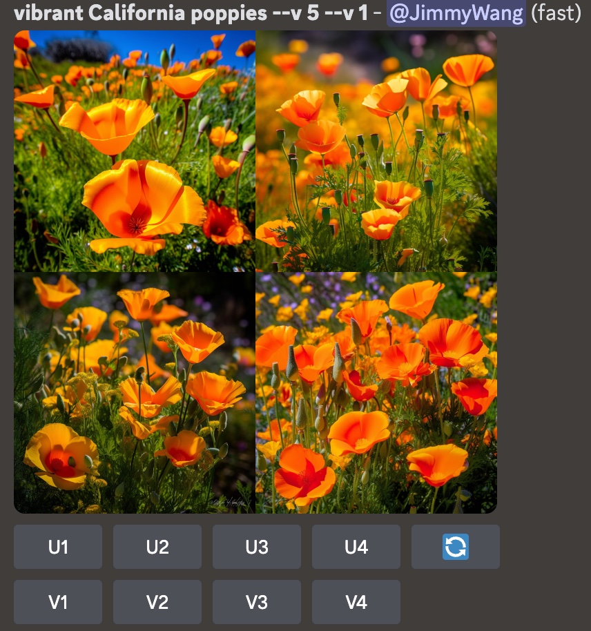 Midjourney Prompt 常用参数